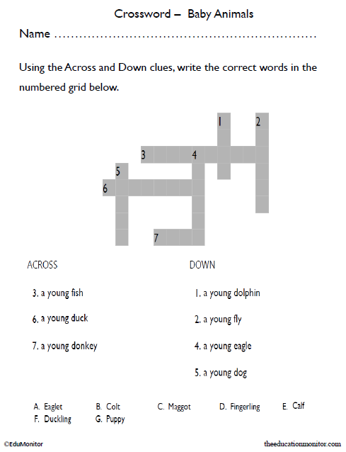 5th Grade Baby Animals Crossword Puzzle