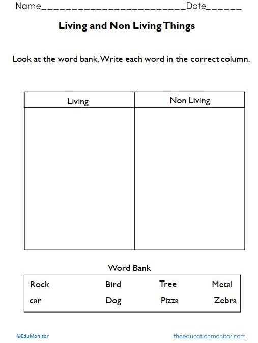 Living and Non Living Things Printables