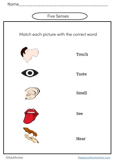 Kindergarten science worksheets Kindergarten science worksheets