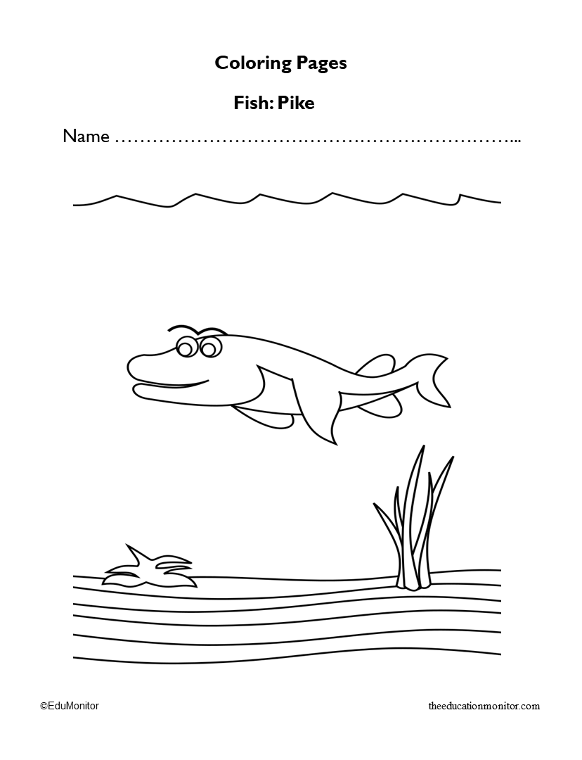 Pike Fish Coloring Pages Worksheet for Preschool_EduMonitor-1
