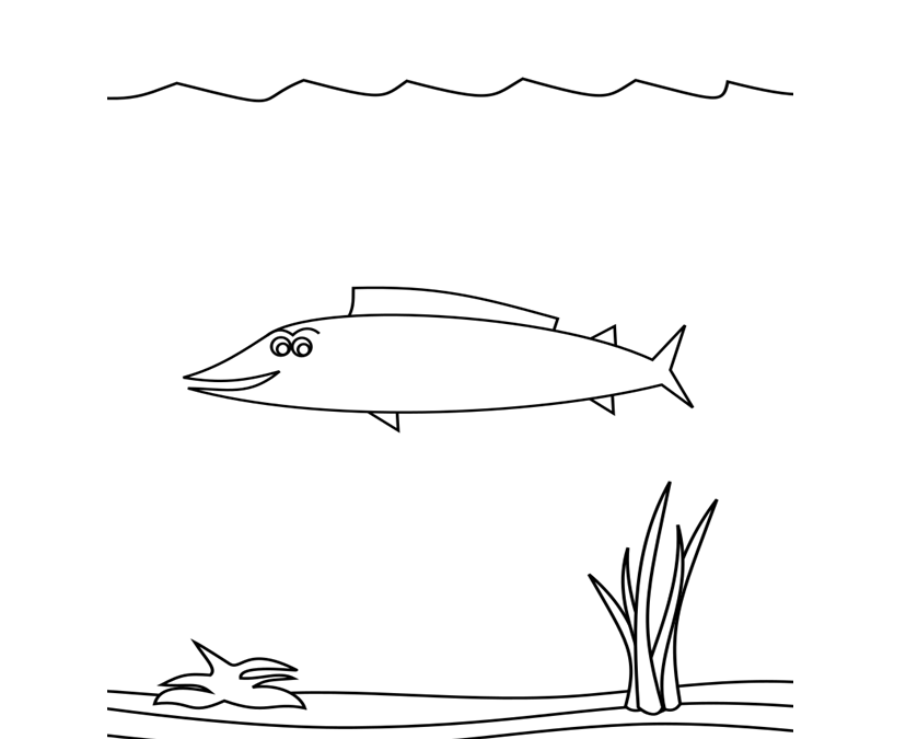 Wahoo Fish Coloring Pages for Preschoolers