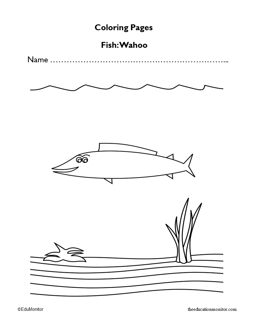 coloring pages for preschool I EduMonitor