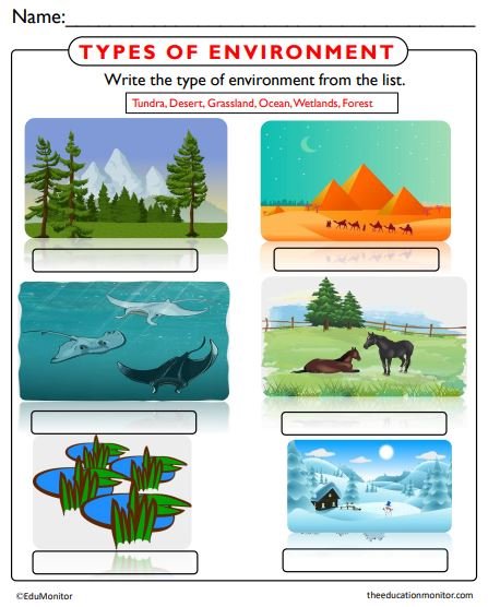 Types of Environments Science Worksheets