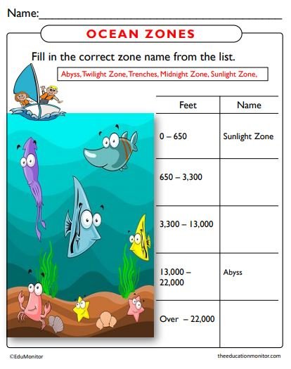 Ocean Zones Science Worksheets