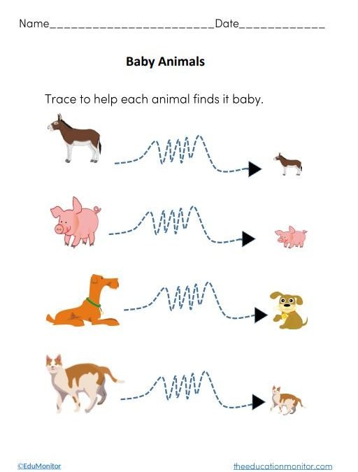 Preschool Baby Animal Activities for Kids Worksheets