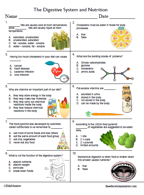 The Digestive System and Nutrition Science Worksheet For Eighth Grade_EduMonitor The Digestive System and Nutrition Science Worksheets for Eighth Grade