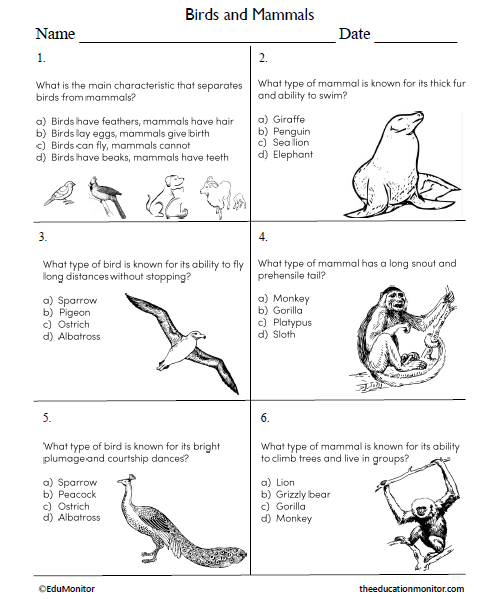 Birds and Mammals Worksheet for Grade 6_EduMonitor Birds and Mammals Science Worksheet for Sixth Grade