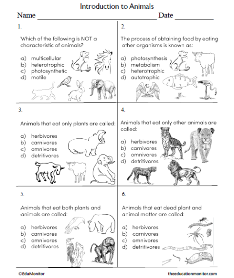 Introduction to Animals Science Worksheet for Grade 6 - EduMonitor