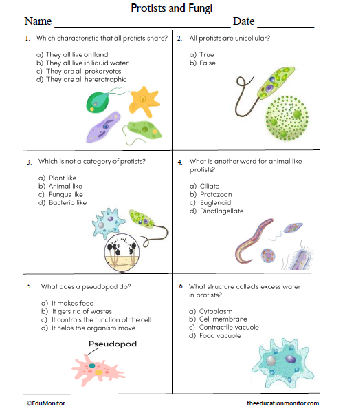 Protists and Fungi Science Worksheet for Grade 7_EduMonitor Protists and Fungi Science Worksheet for Grade 7