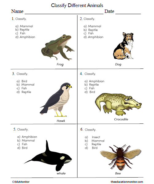 Classify Diffrent Animals Science Worksheet for Grade 6_EduMonitor Classify Different Animals Science Worksheet for Grade 6