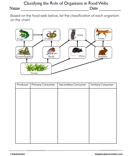 Classifying the Role of Organisms in food webs Science Worksheet for Grade 7_EduMonitor Role of Organisms in Food Webs Science Worksheet for Grade 7