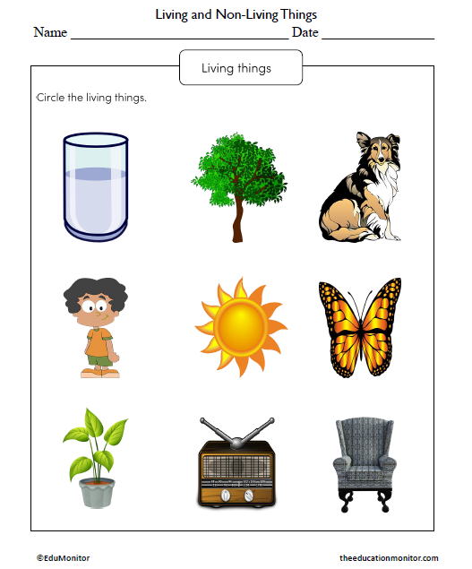 Living and Non-Living Things Science Worksheet for Grade 1 - EduMonitor ...