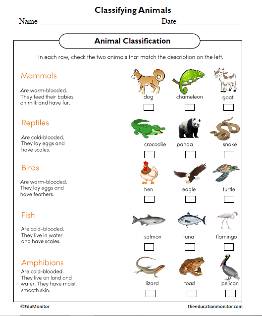 Classifying Animals Science Worksheet - EduMonitor