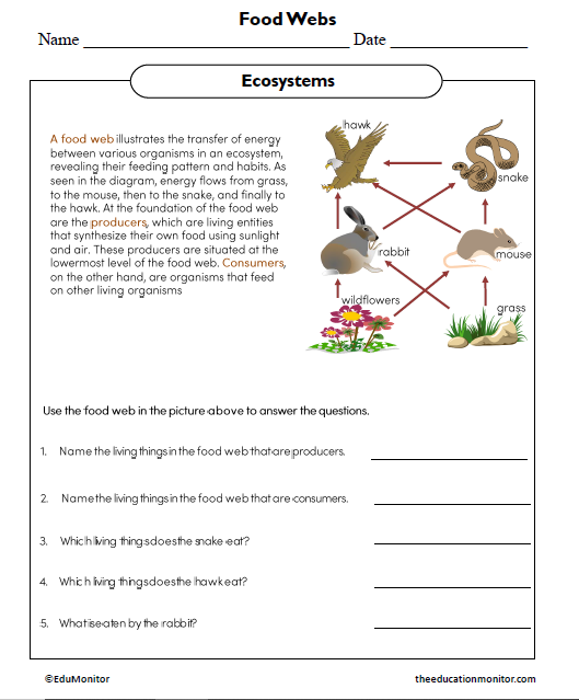 Food Webs Science Worksheet_EduMonitor Food Webs Science Worksheet