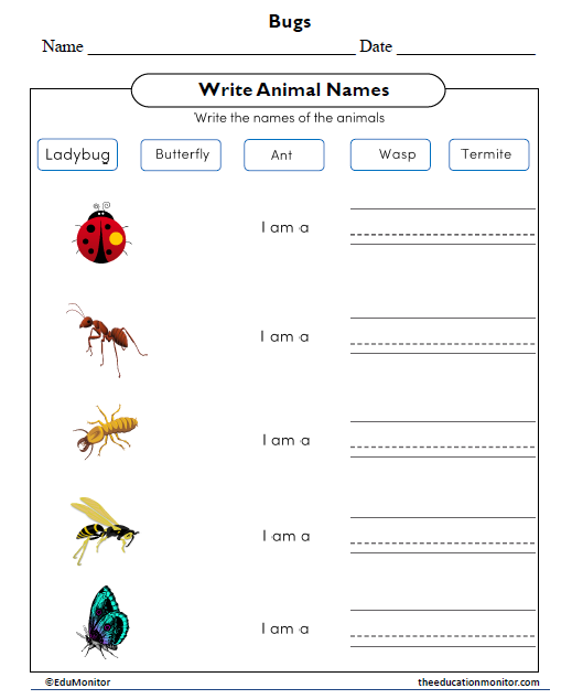 Write Animal Names Worksheet