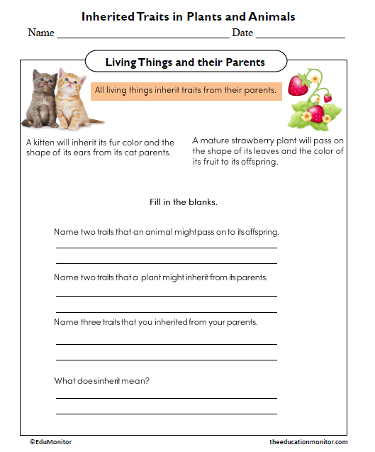 Inherited Traits in Plants and Animals Worksheet