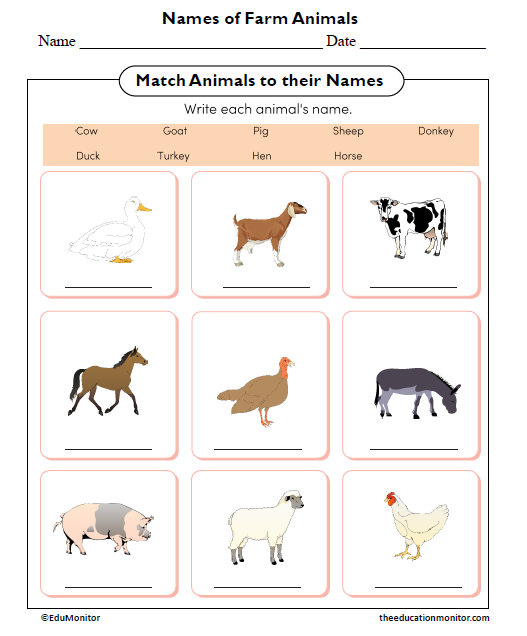 Names of Farm Animals Worksheet