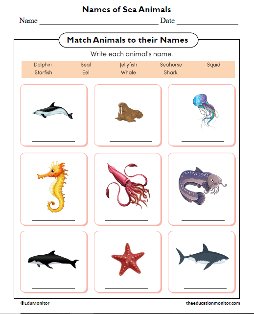 Names of Sea Animals Science Worksheet