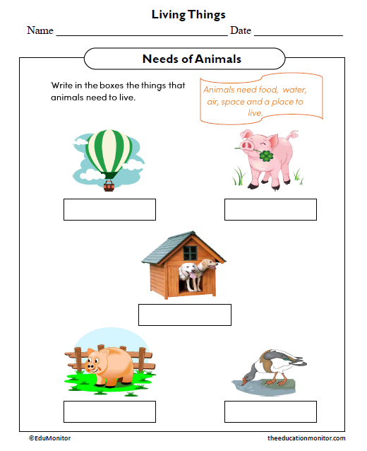 Needs of Animals Science Worksheet