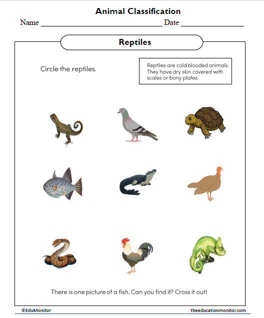 Animal Classification Worksheet - EduMonitor