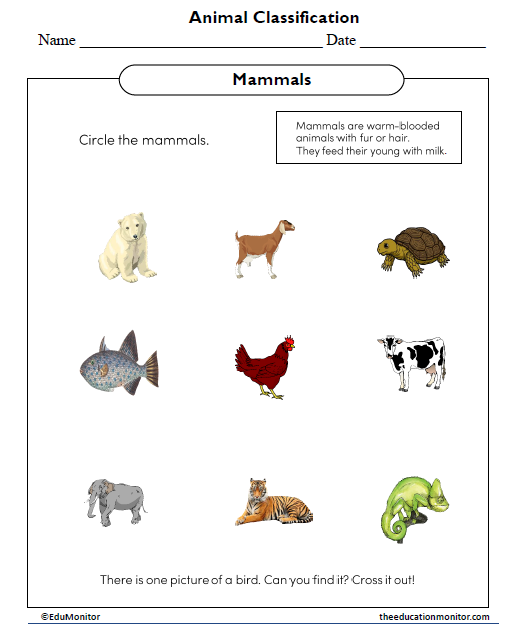 Animal Classification Science Worksheet - EduMonitor