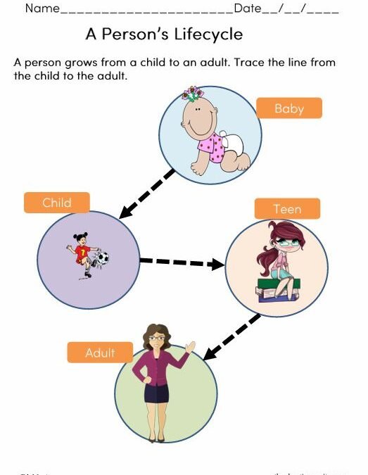 Human Body: A Person’s Lifecycle Science Printables