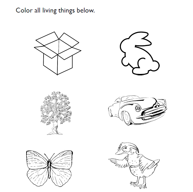 Living Things Preschool Science Worksheet