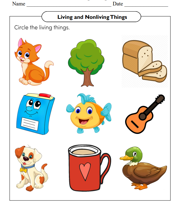 Living Things Science Worksheet for Kindergarten