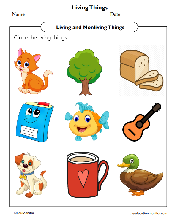 Living Things Science Worksheet for Kindergarten