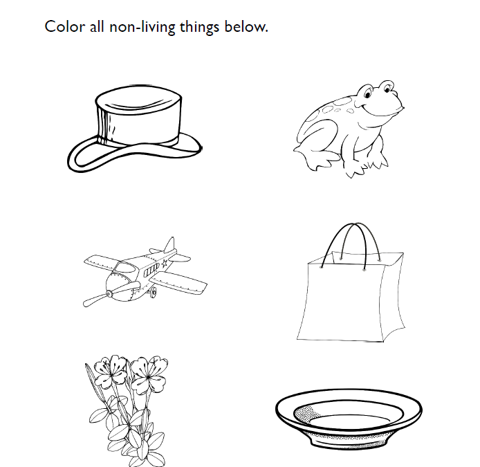 Non-Living Things Science Pre-K Worksheet