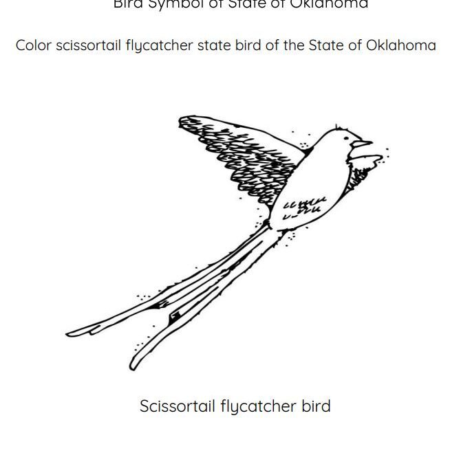 Oklahoma Bird State Symbol Coloring Pages