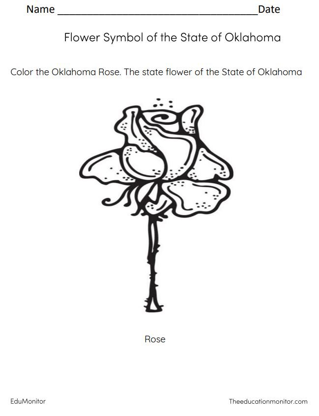 Oklahoma- flower symbol Oklahoma State Flower Coloring Pages I EduMonitor
