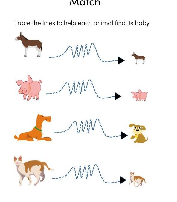 Animals and their Offsprings Science Worksheets