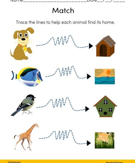 Animal Homes Science Worksheets for Kids
