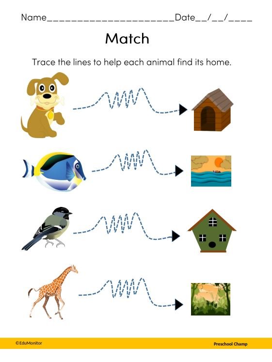 prek science Animal Homes worksheets I EduMonitor