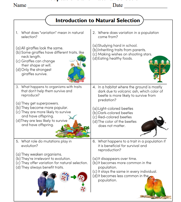 Introduction to Natural Selection Science Worksheet