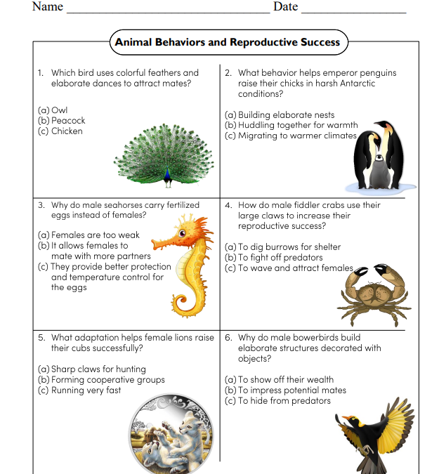 Animal Behaviors and Reproductive Success Science Worksheet