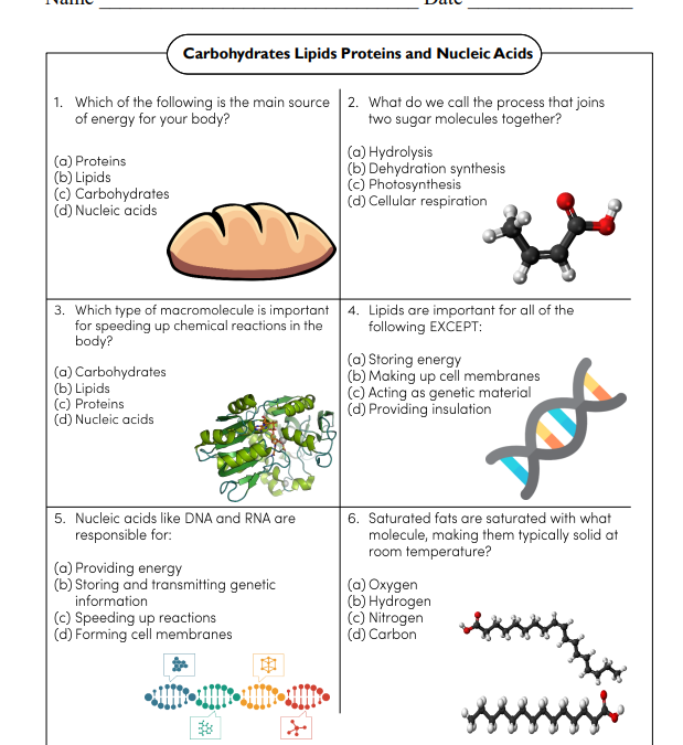 Biochemistry Science Worksheet