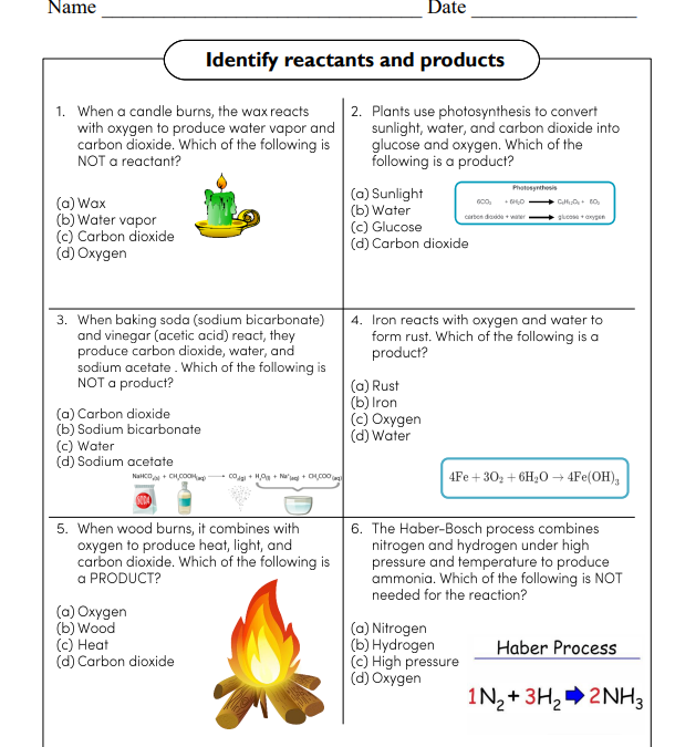 Identify Reactants and Products Science Worksheet