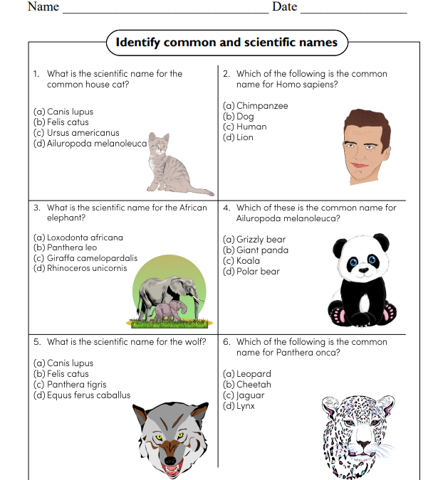 Identify Common and Scientific Names Science Worksheet