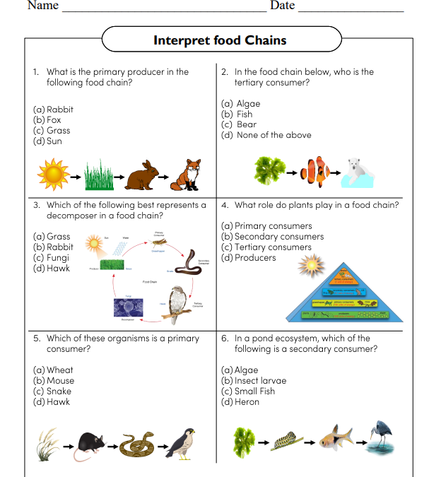 Ecological Interactions Science Worksheet