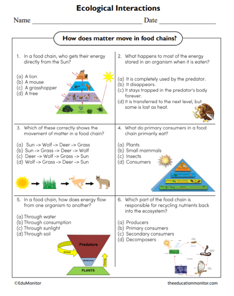 Ecological Interactions Science Worksheet - EduMonitor | Science, Math ...