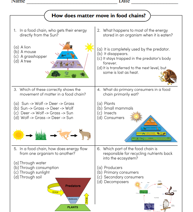Ecological Interactions Science Worksheet