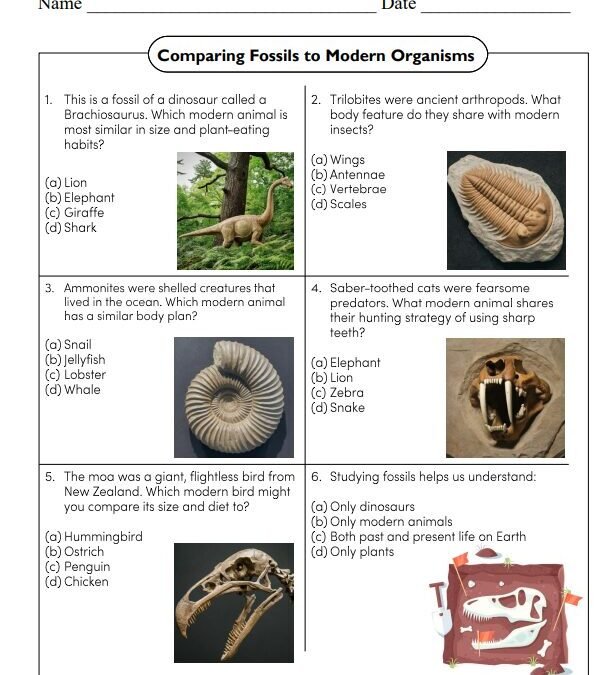 Comparing Fossils to Modern Organisms Science Worksheet