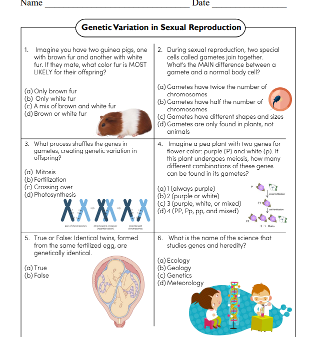 Genetic Variation in Sexual Reproduction Science Worksheet