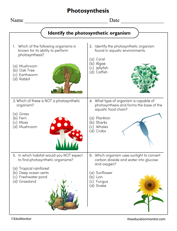 Photosynthesis Science Worksheet 2_EduMonitor Photosynthesis Science Worksheet