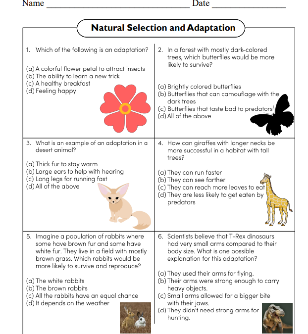 Natural Selection and Adaptation Science Worksheet