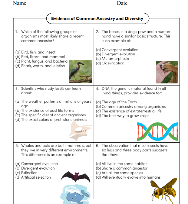 Evidence of Common Ancestry and Diversity Science Worksheet