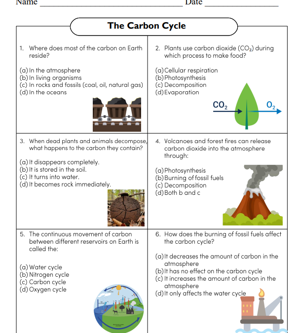 Carbon Cycle Science Worksheet