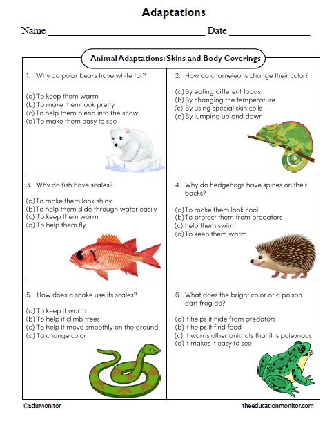 Animal Adaptations Worksheet